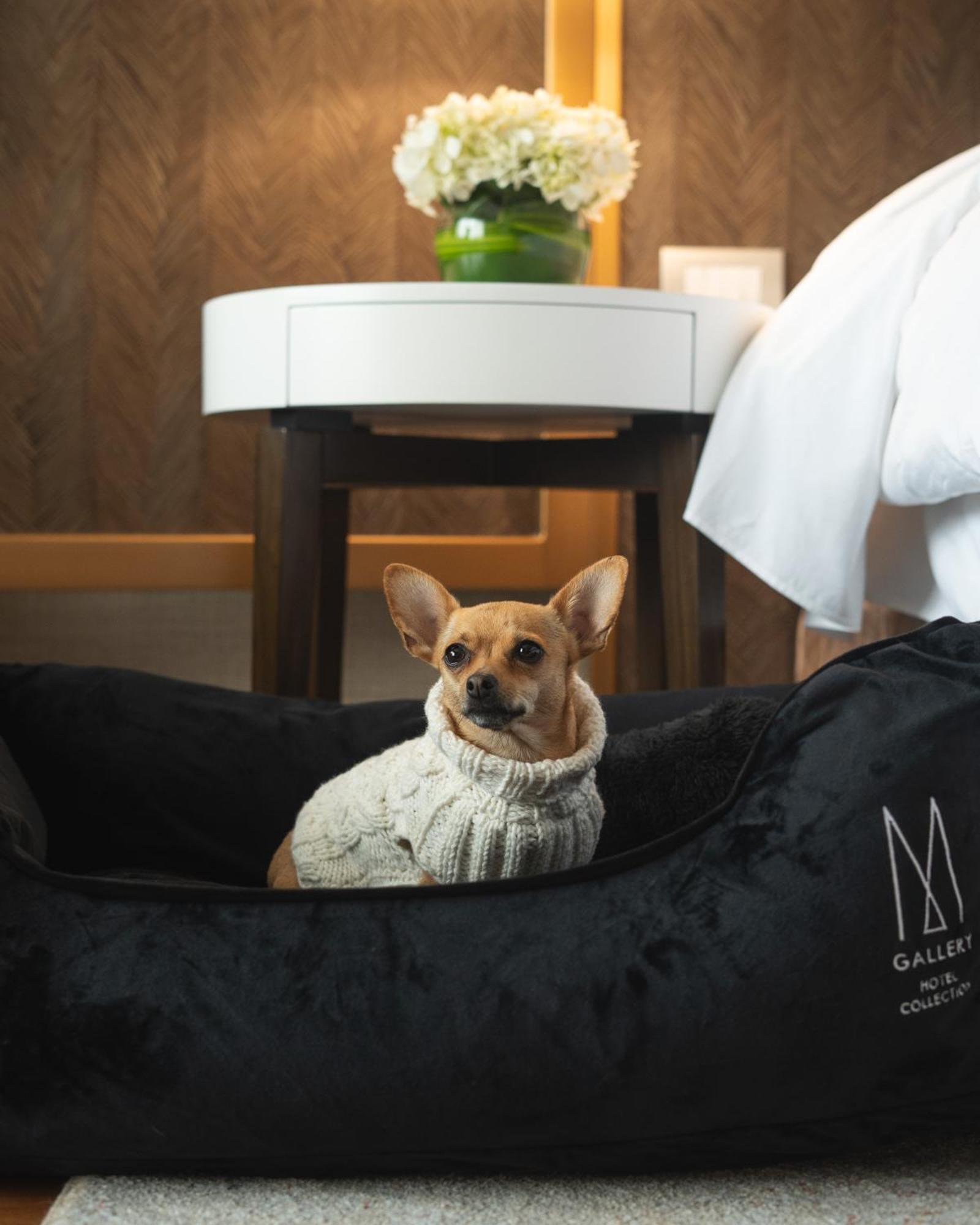 Manto Hotel Lima - Mgallery Buitenkant foto